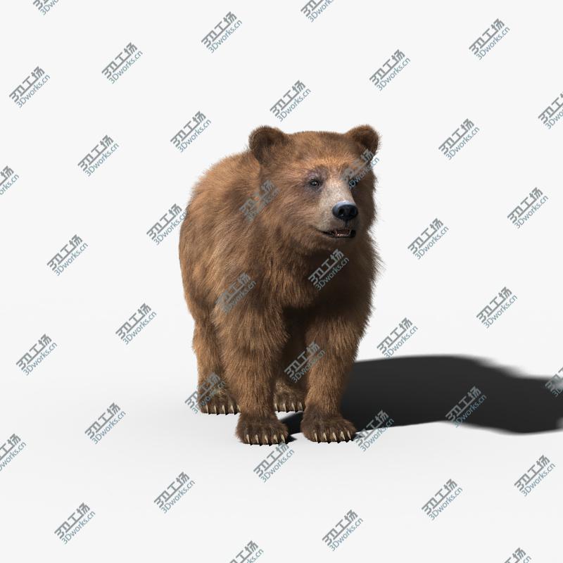 images/goods_img/202105073/Brown Bear(FUR)(RIGGED)/4.jpg
